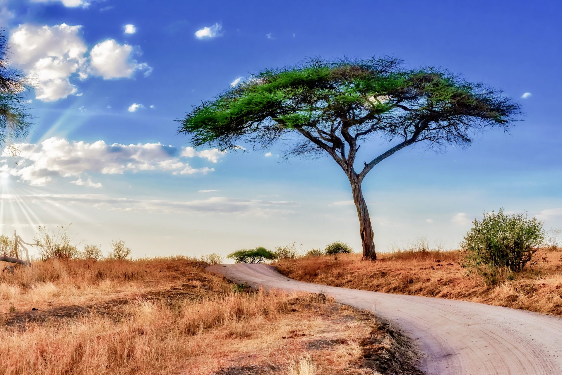 Afrika országai és fővárosai kvíz – 1.…
