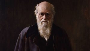 Read more about the article A Charles Darwin kvíz: ismerd meg az evolúcióelméletet!