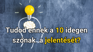 Read more about the article Tudod ezt a 10 idegen szót jelentését?