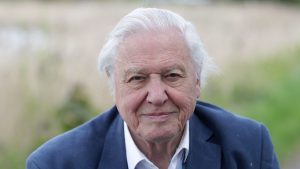 Read more about the article David Attenborough kvíz: Ismed meg a Természet Nagykövetét!