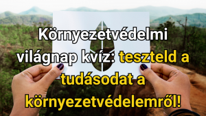 Read more about the article Környezetvédelmi világnap kvíz: teszteld a tudásodat a környezetvédelemről!