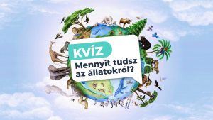 Read more about the article Az állatvilág csodái – Mennyit tudsz a különleges állatokról?