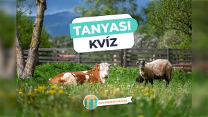 Read more about the article Tanyasi Kvíz – Mennyit tudsz a háztáji állatokról?