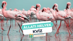 Read more about the article Állati helyek KVÍZ – Tudjátok hol élnek ezek az állatok?