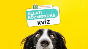 Read more about the article Állati Közmondások – Mennyire ismered az állatokkal kapcsolatos közmondásokat?