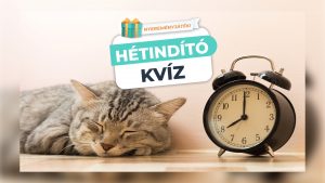 Read more about the article Hétindító Kvíz – Agytorna hétfőre!