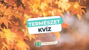 Read more about the article Természet Kvíz – Felismered a Fák Faleveleit?