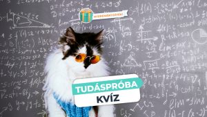 Read more about the article Tudáspróba – 10 szórakoztató kvízkérdés