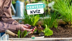 Read more about the article Kertészkvíz – Otthon vagy a kertészkedésben?