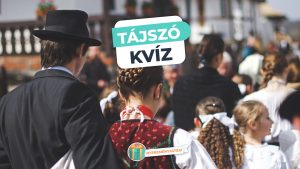 Read more about the article Tájszó kvíz – Tudod, mit jelentenek ezek a magyar szavak?
