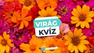 Read more about the article Virág kvíz – Te felismered ezeket a virágokat egy képről?