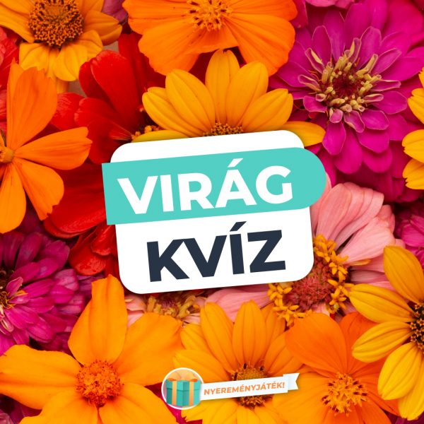 Virág kvíz – Te felismered ezeket a…