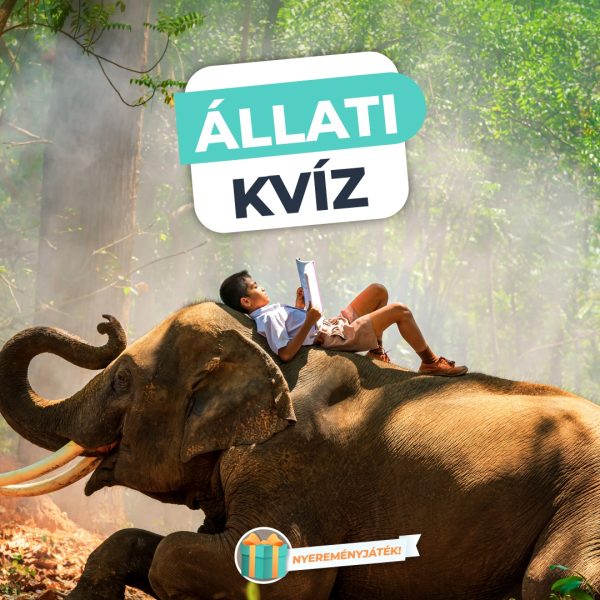 Állati Kvíz – Teszteld az állatvilágról szerzett…