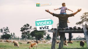 Read more about the article Vidéki Kvíz – Teszteld, mennyit tudsz a vidéki életről!