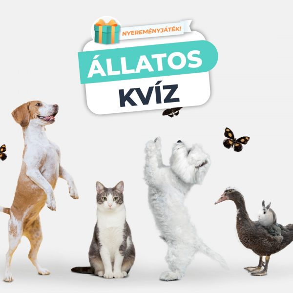 Állatos Kvíz – A legalapvetőbb tudnivalókra kérdezünk…
