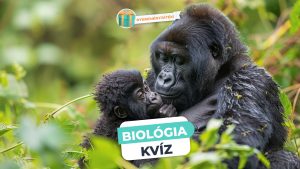 Read more about the article Biológia kvíz – vajon még emlékszel, amit általánosban tanultál?