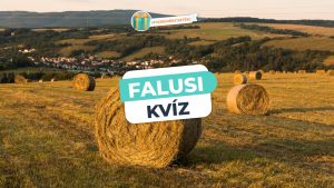 Read more about the article Falusi Kvíz – Értesz a falusi munkákhoz és az állatokhoz?