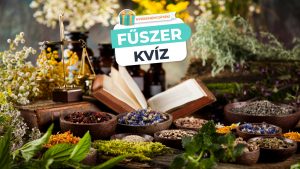 Read more about the article Fűszer Kvíz – Ismered a fűszerek jótékony hatásait?