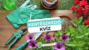Read more about the article Kertészkedő kvíz – Tudod, mi a teendő nyáron a kertben?