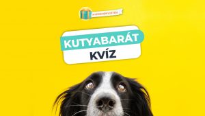 Read more about the article Kutyabarát Kvíz – Felismered a fajtákat?