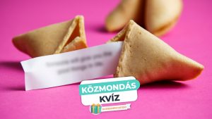 Read more about the article Közmondás Kvíz – Felismered a közmondást a magyarázatából?